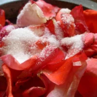Rose petal jam (uncooked)